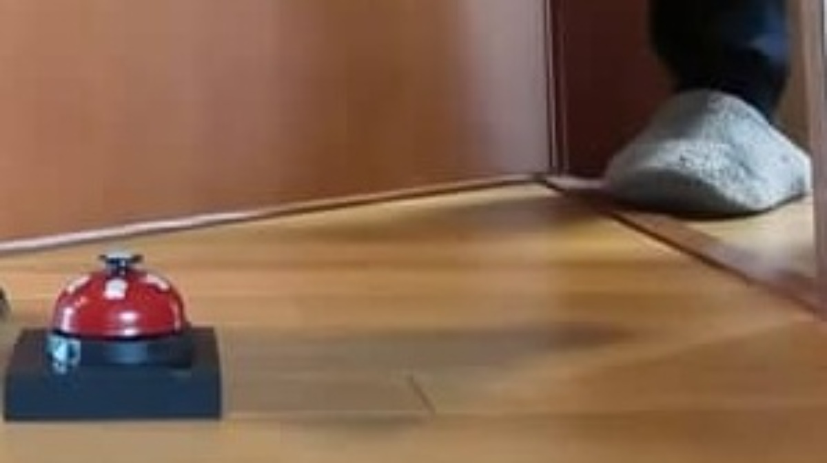 パパが部屋の前に“ベル”を置いたら早速「チーン」の音→ドアを開けると……「可愛すぎるｗｗ」使いこなした“驚きの正体”に「笑った」（1/3） | 犬 ねとらぼ