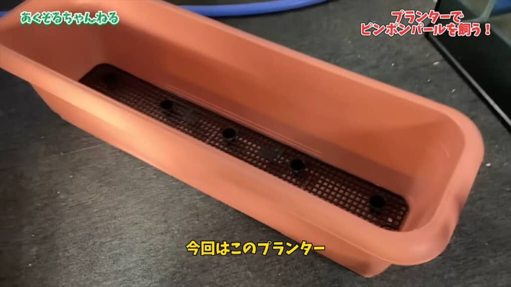 園芸用のプランターで金魚を飼育する方法