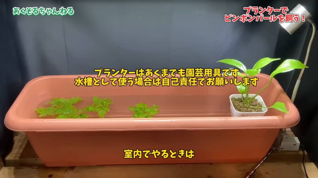 園芸用のプランターで金魚を飼育する方法