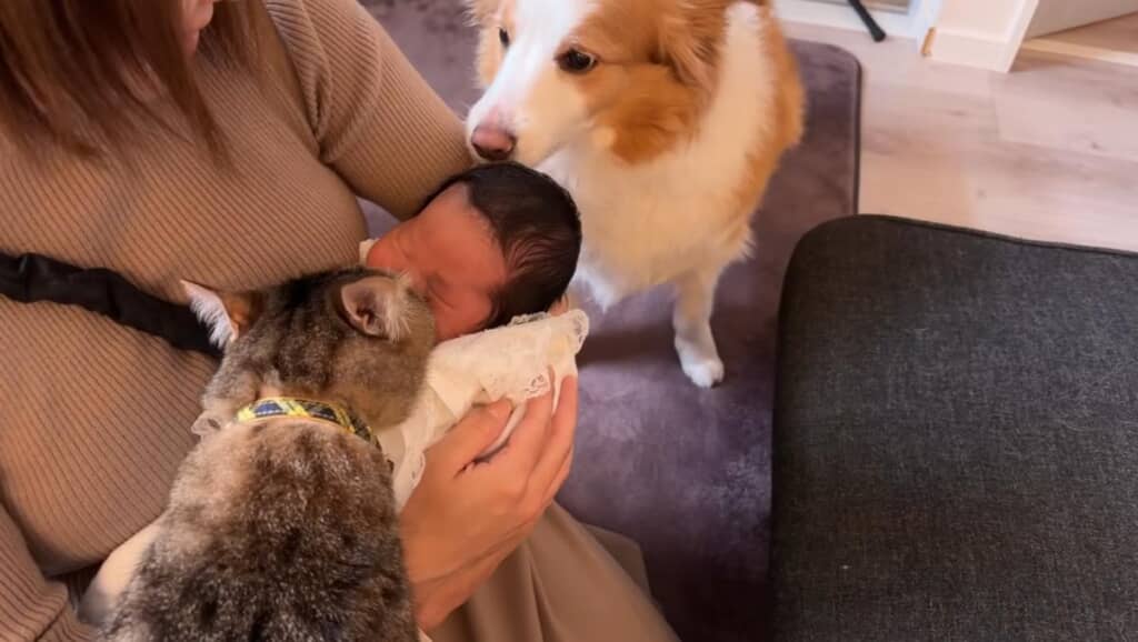 赤ちゃんに興味津々