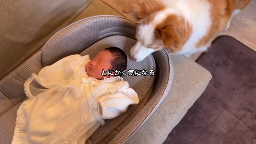 とにかく気になる！