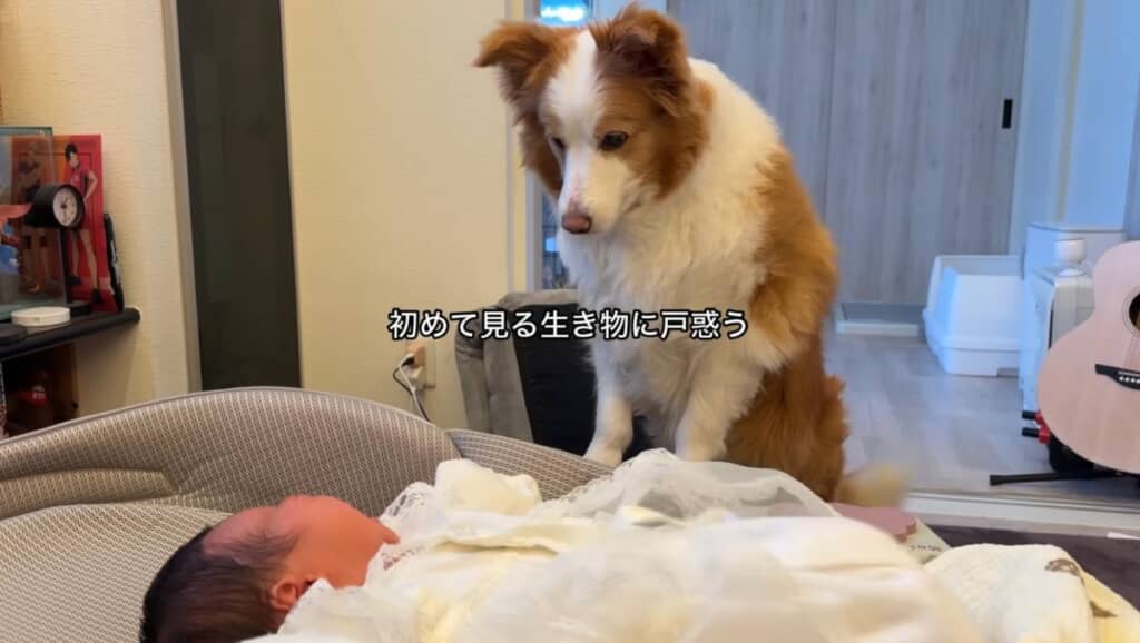 泣いて動く赤ちゃんに戸惑います