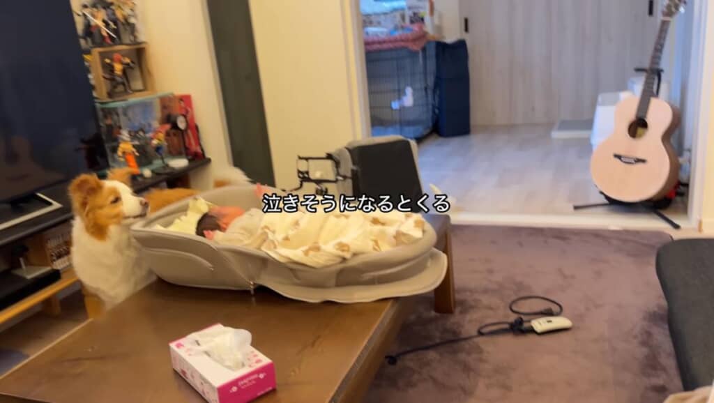 心強いお姉ちゃんが爆誕