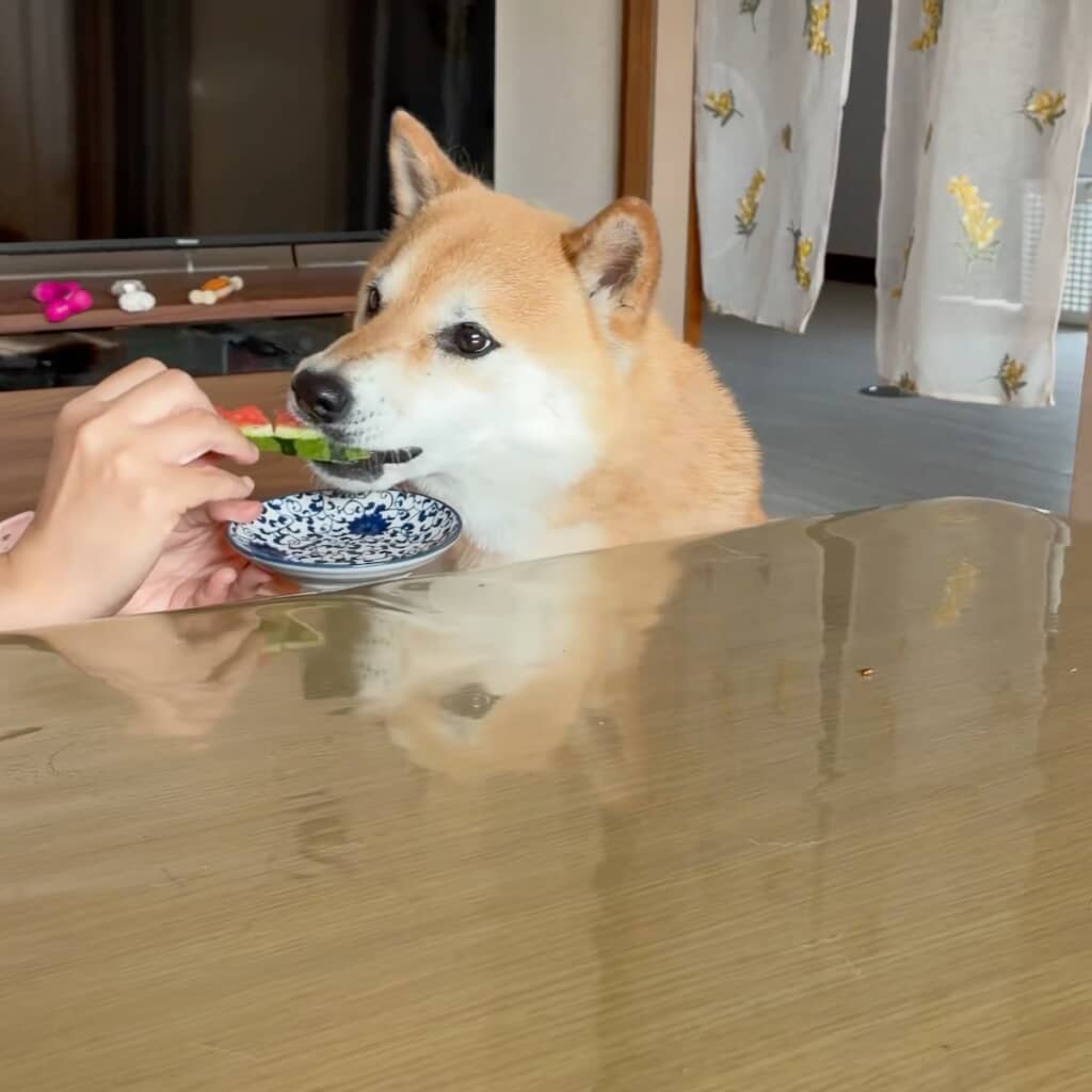 皮までパクリ