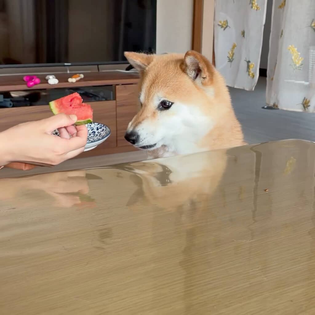 味を確かめるようにモグモグ