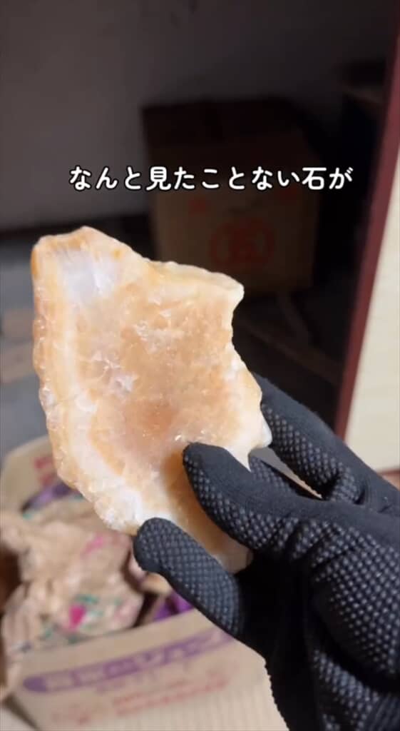 ゴミ屋敷な祖母の家で見つかったお宝