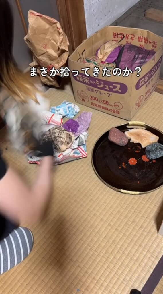 ゴミ屋敷な祖母の家で見つかったお宝