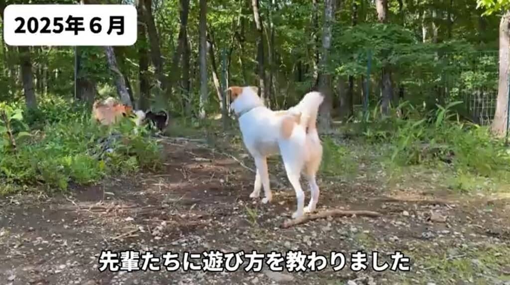 2025年6月 先輩たちに遊び方を教わりました