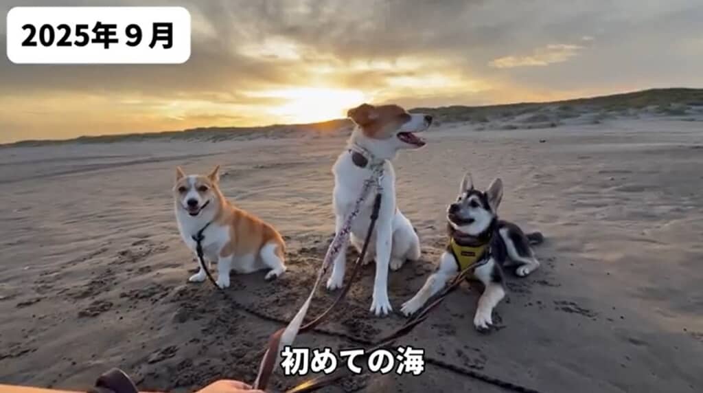 2025年9月 初めての海
