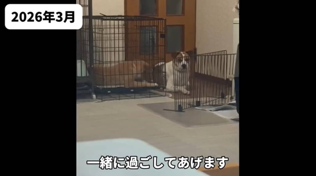 2026年3月 仲間と一緒に過ごします