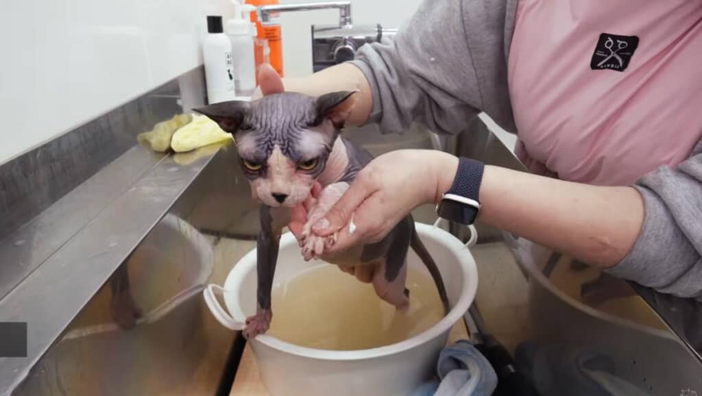 たった2週間でお湯が茶色に!?