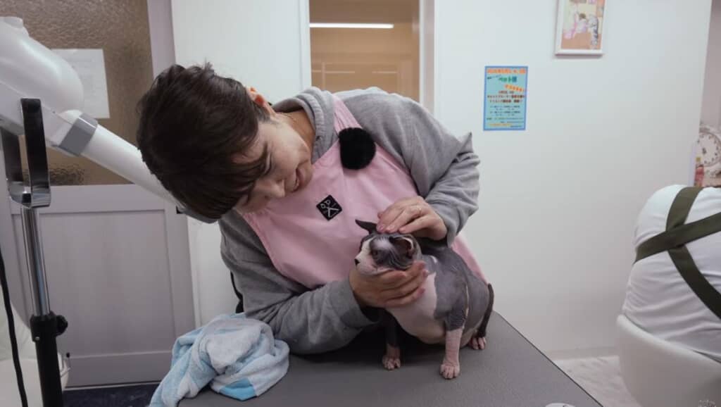 きれいさっぱり!