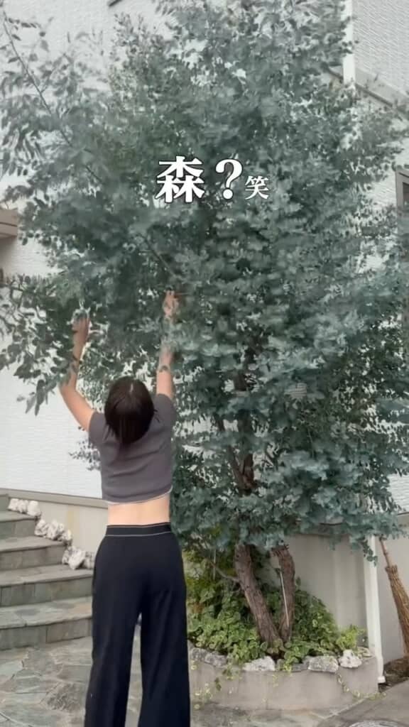 2カ月後にはもうこのありさま