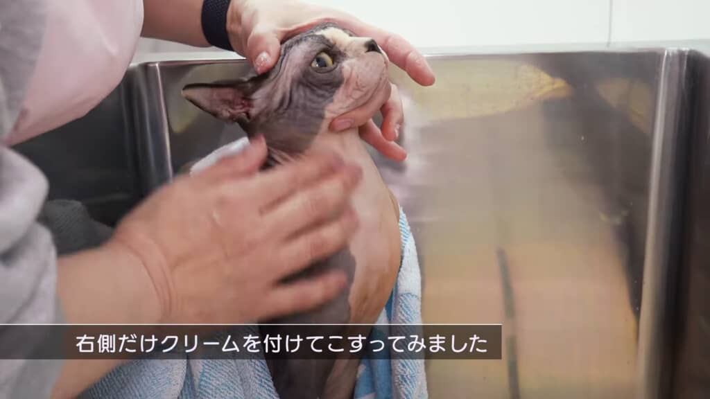 半分クリームでこすると……