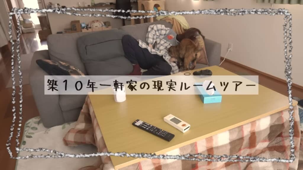築10年、一戸建ての現実ルームツアー