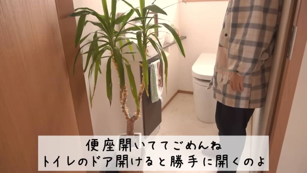 立派な観葉植物が目を引きます