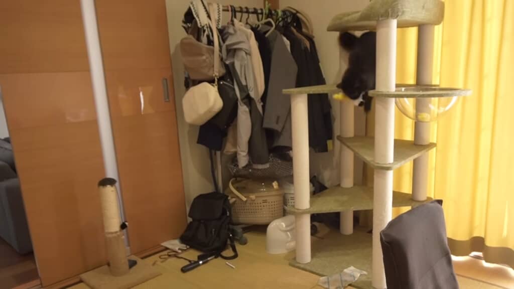 愛猫たちのための和室