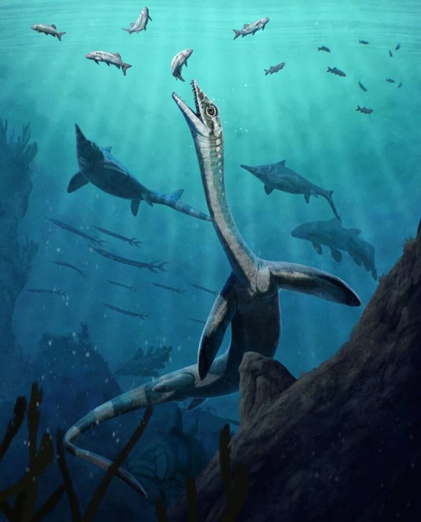 海洋爬虫類「オーストロナガ・ミヌタ」のイメージ画像