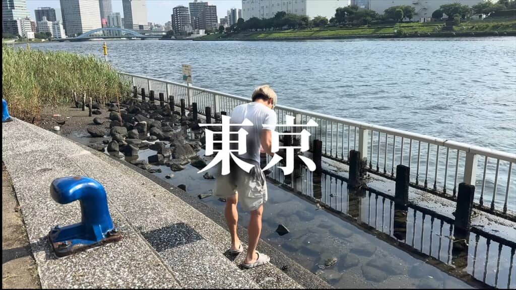 隅田川でヘチ釣り