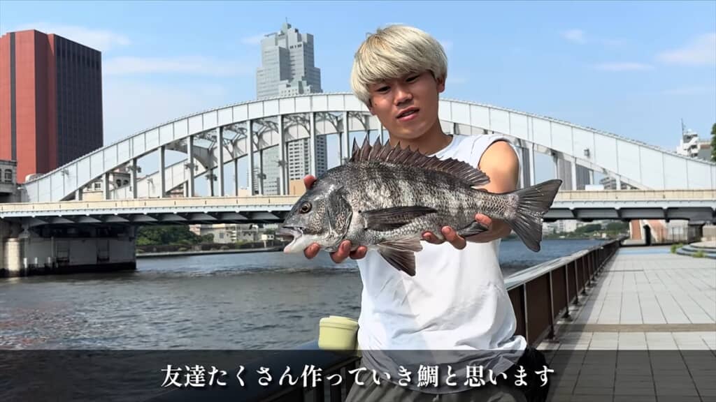 隅田川で釣れるクロダイ