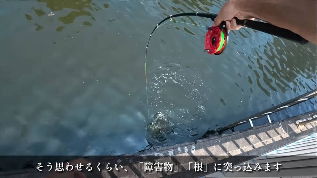 隅田川でヘチ釣り