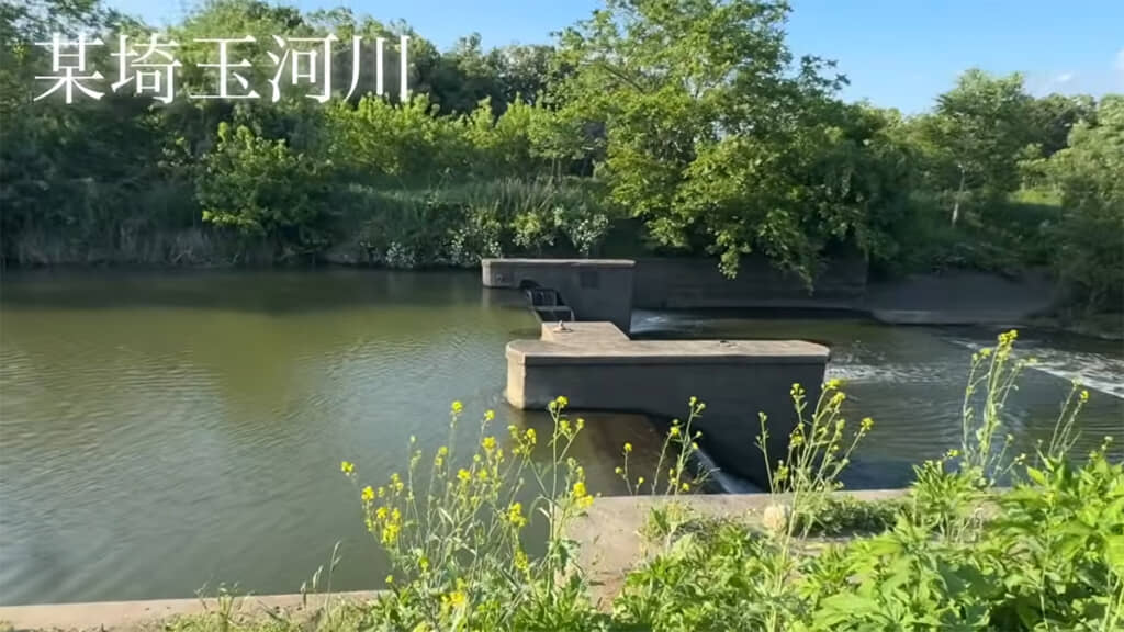 埼玉県のある河川で釣りをしていきます