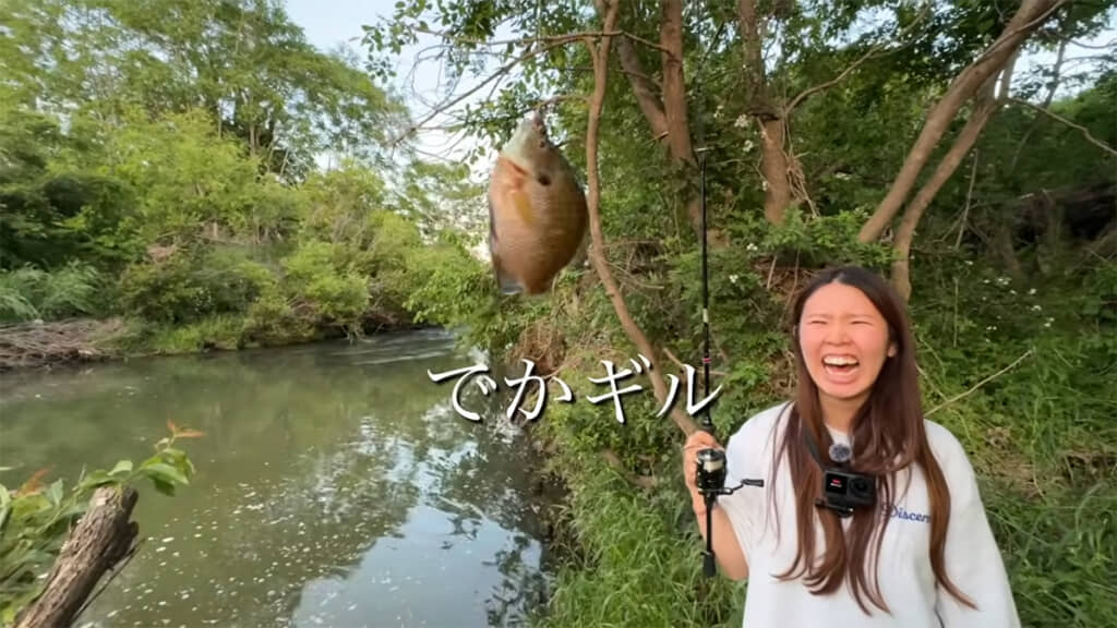 まず釣れたのは大きなギルでした