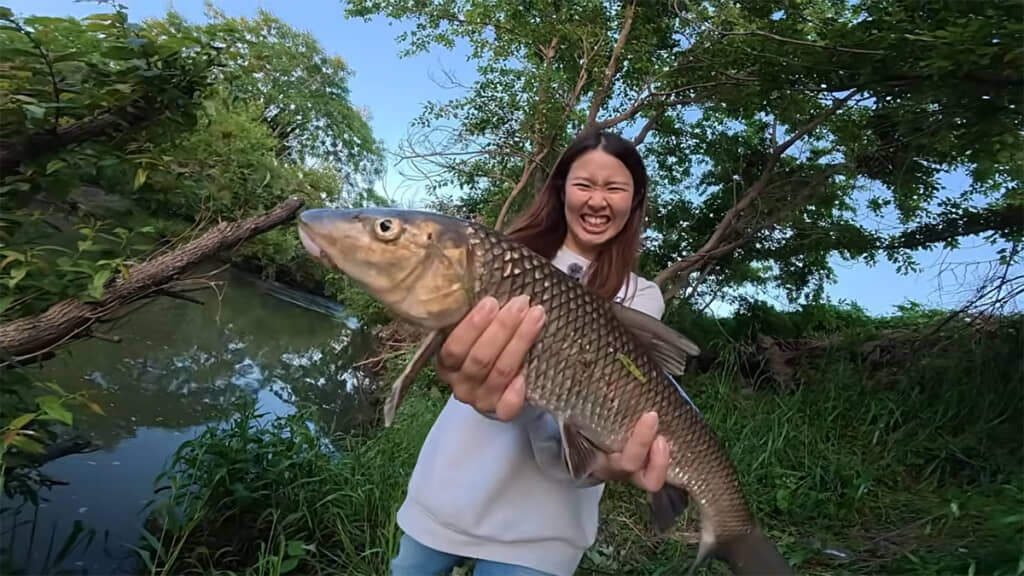 釣れたのは大きなニゴイでした、これは外道フェスか……？！