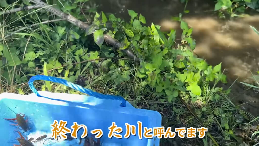 生物多様性が終わった川