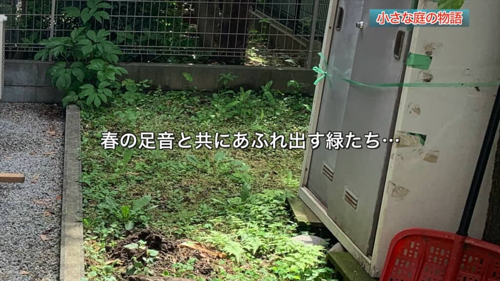 手間暇かけて作った芝生の庭の経年変化