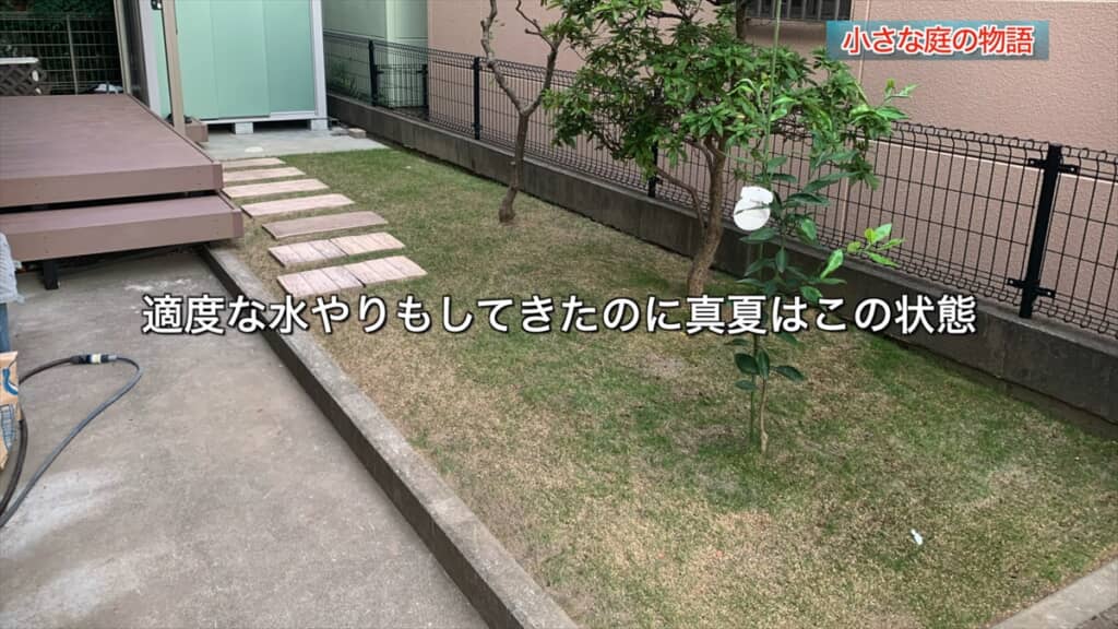手間暇かけて作った芝生の庭の経年変化