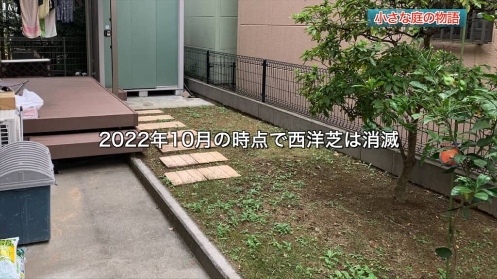 手間暇かけて作った芝生の庭の経年変化