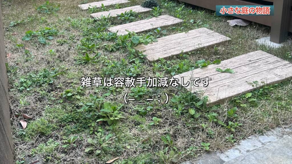 手間暇かけて作った芝生の庭の経年変化