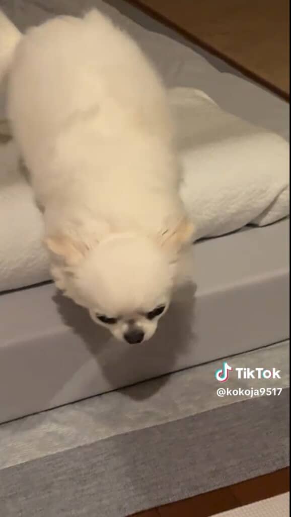 待ってて！　すぐ行く