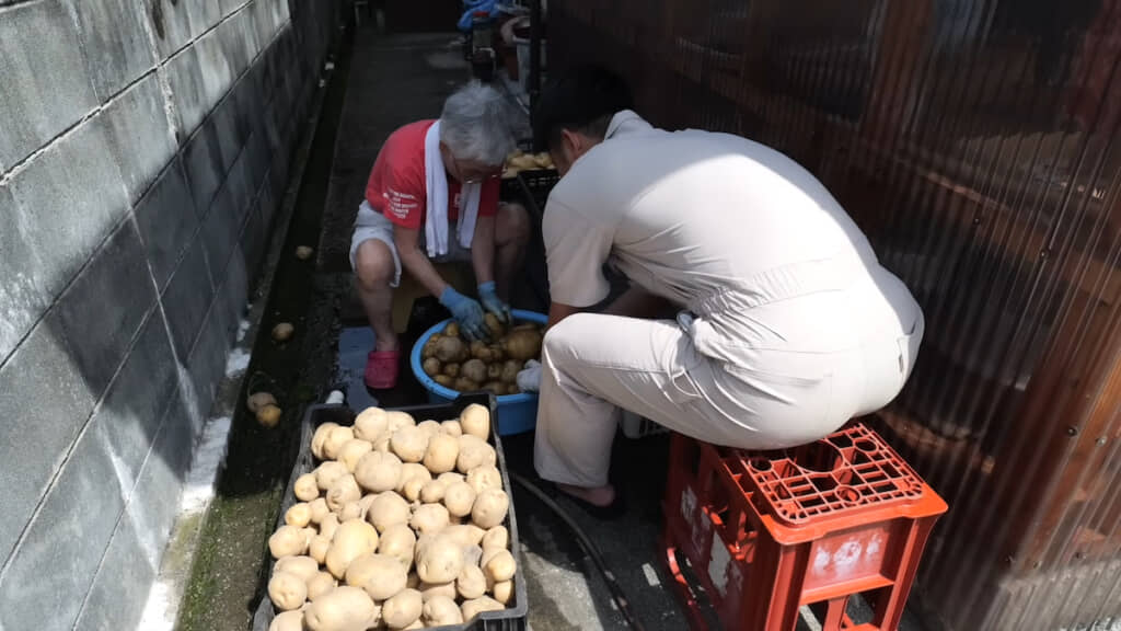 孫と一緒にジャガイモを洗う