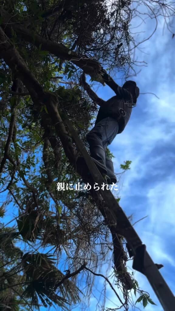 お父さんに止められた“開拓”
