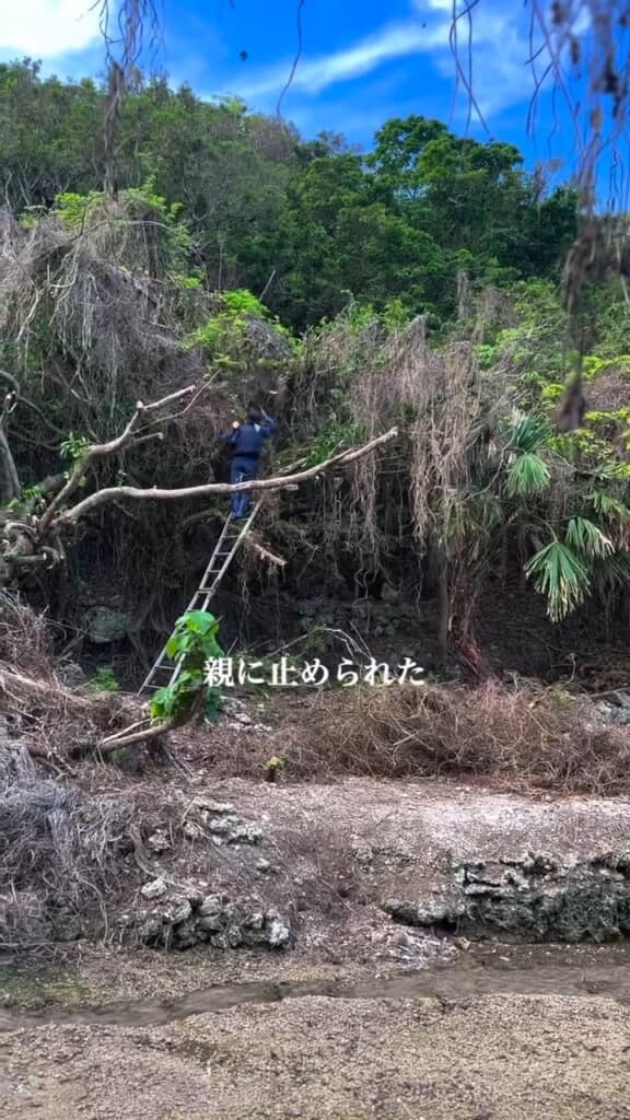 過酷な状況での作業を続ける