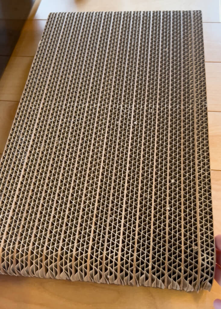 ひっくり返した裏面。こちらは未使用なので、あと3カ月程度使えそうです