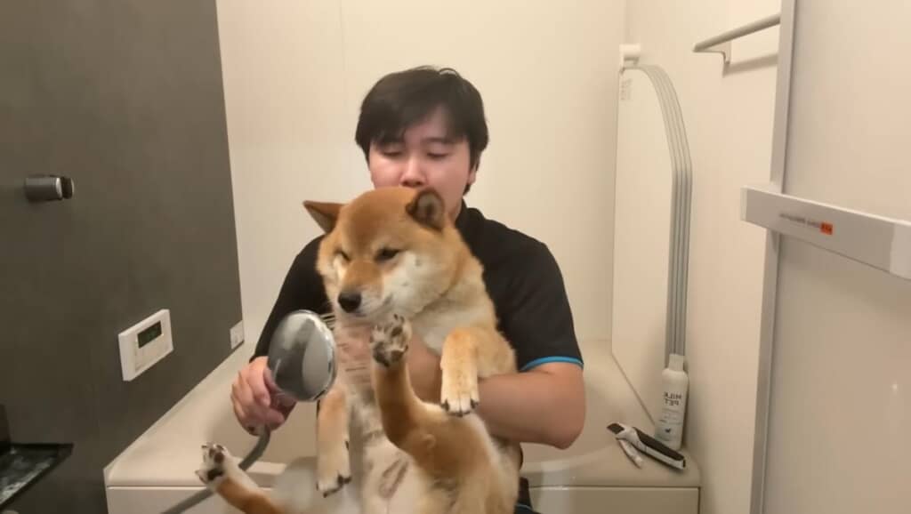 月1のシャンプー
