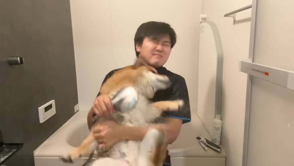 早速暴れている!?
