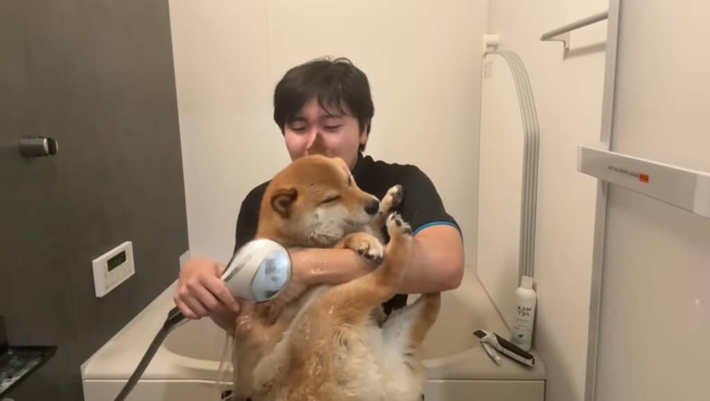 なんとか落ち着いたかな……?