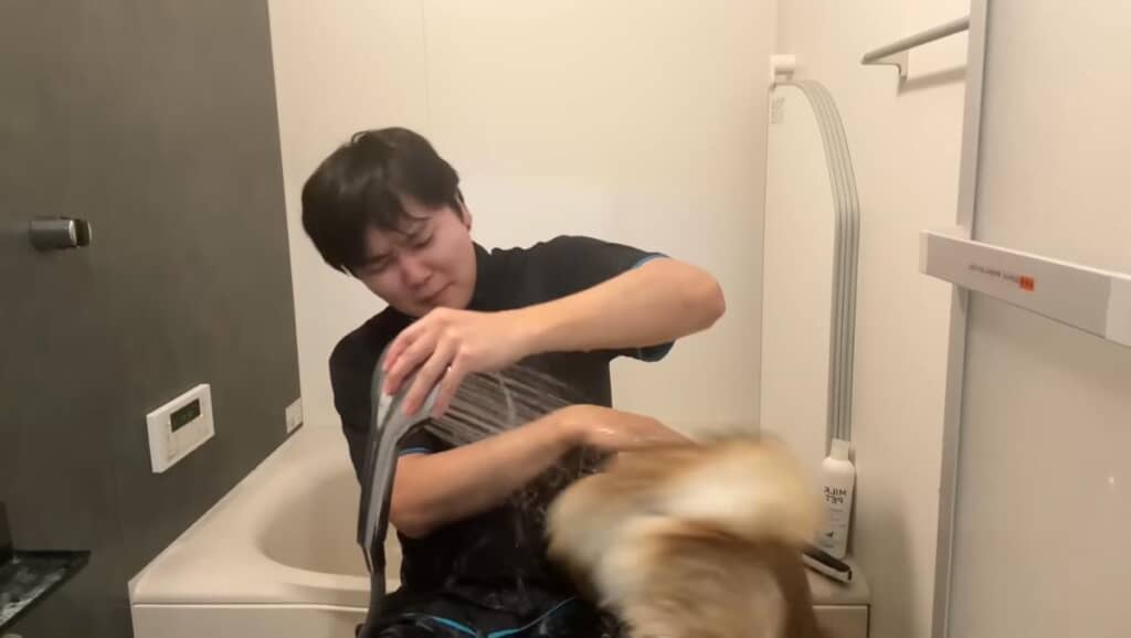 突然の逃亡
