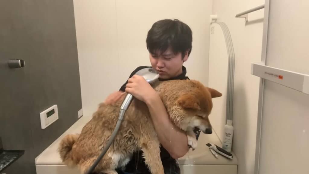 戻って来たけど、口元がもぐもぐしてる?