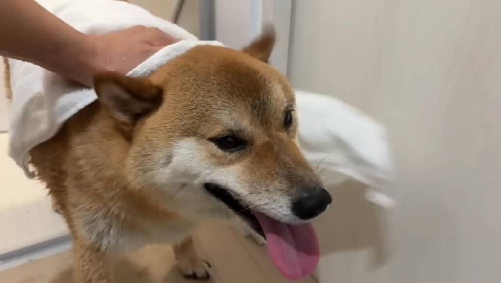お風呂上がりはきれいサッパリ
