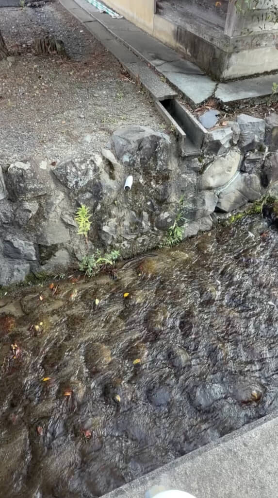 用水路の中に……