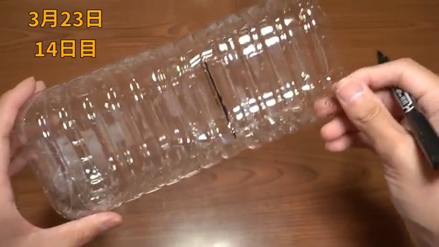 育てる容器作り