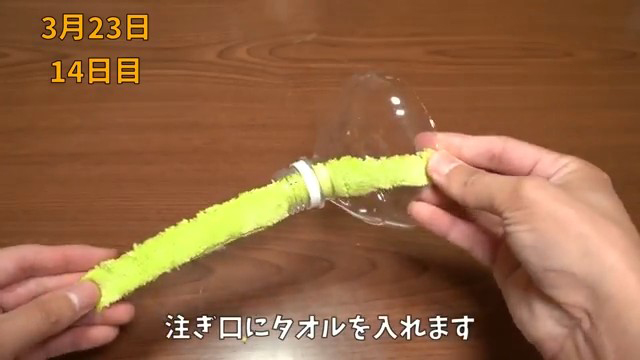 水を吸い上げる用のタオルを入れる