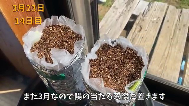 窓際に設置