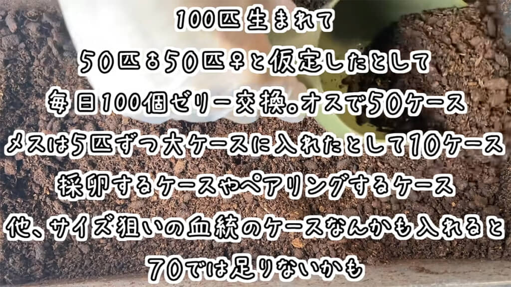 カブトムシの飼育管理だけでもかなりの時間と手間がかかります