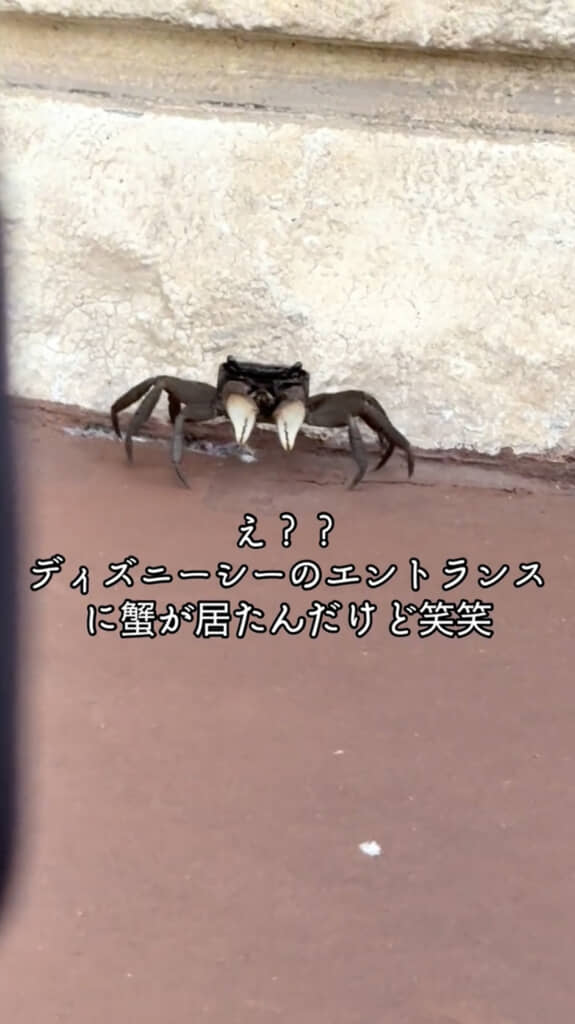 こんなことあるんだ……